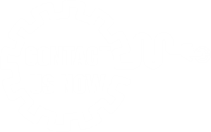 contact WHS Company